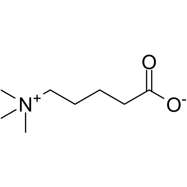delta-Valerobetaine 6778-33-2